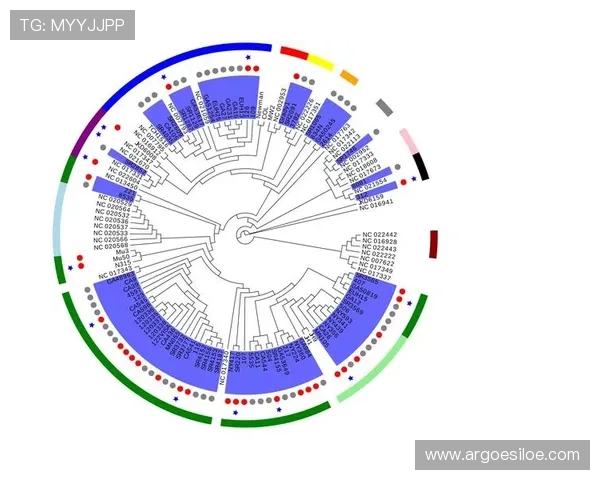 欧博代理登录:最新版本登录界面功能介绍与使用技巧 欧博代理登录:最新版本登录界面功能介绍与使用技巧
